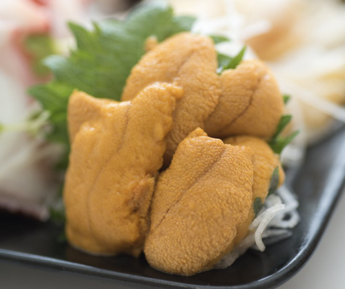 Platillos de Uni (Erizo)